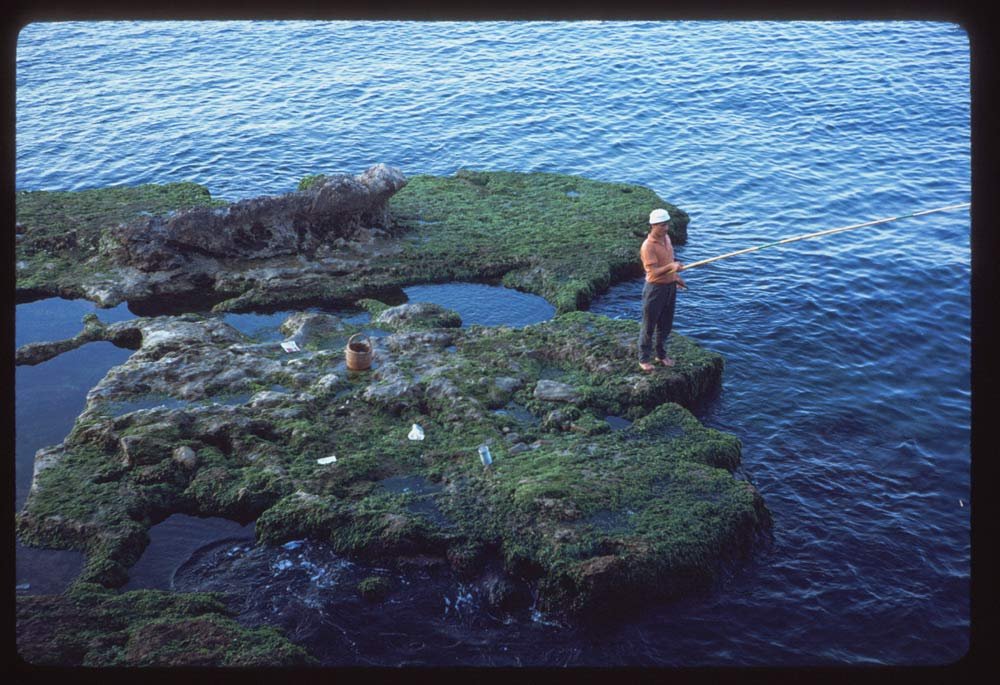 The caption on this one reads, "Fisherman on mossy rocks."